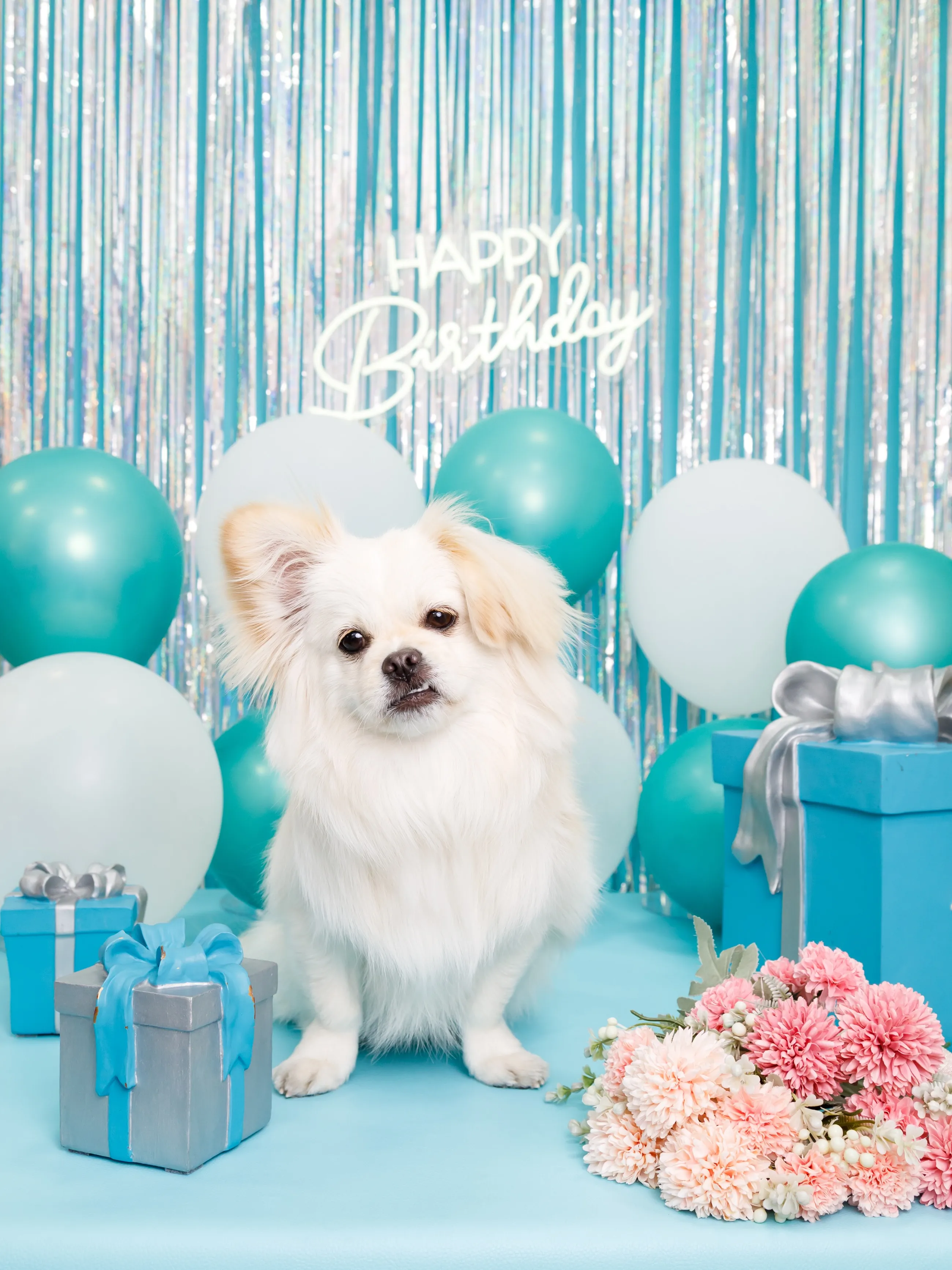 【Birthday Photobooth🗽-水色-】