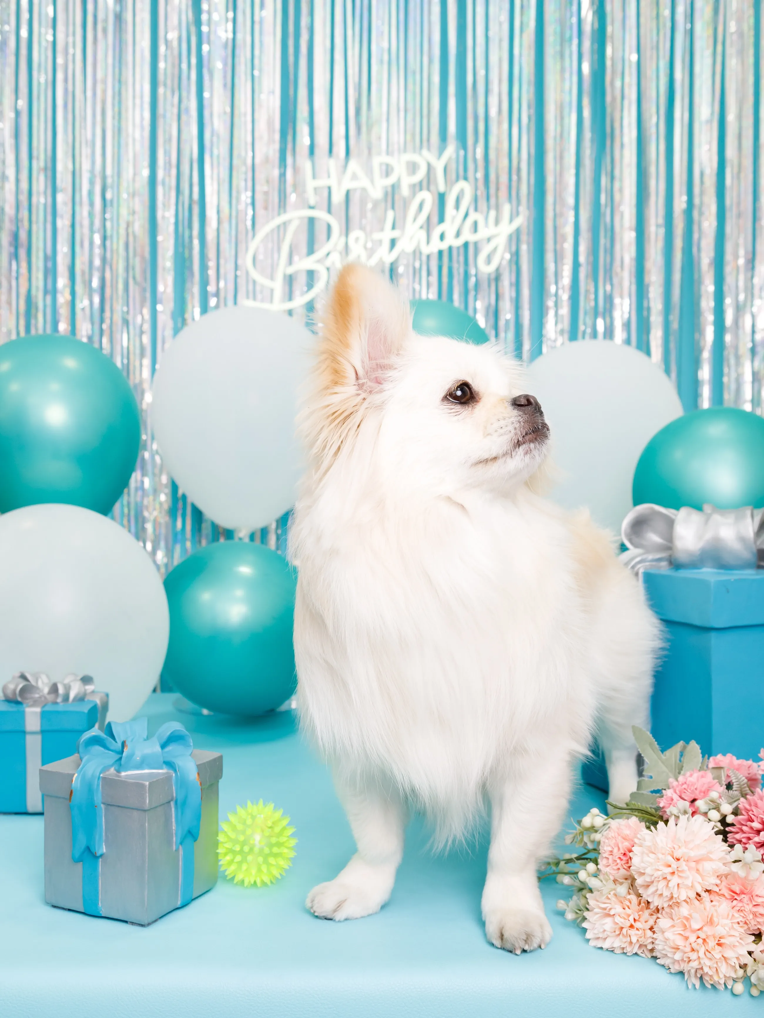 【Birthday Photobooth🗽-水色-】