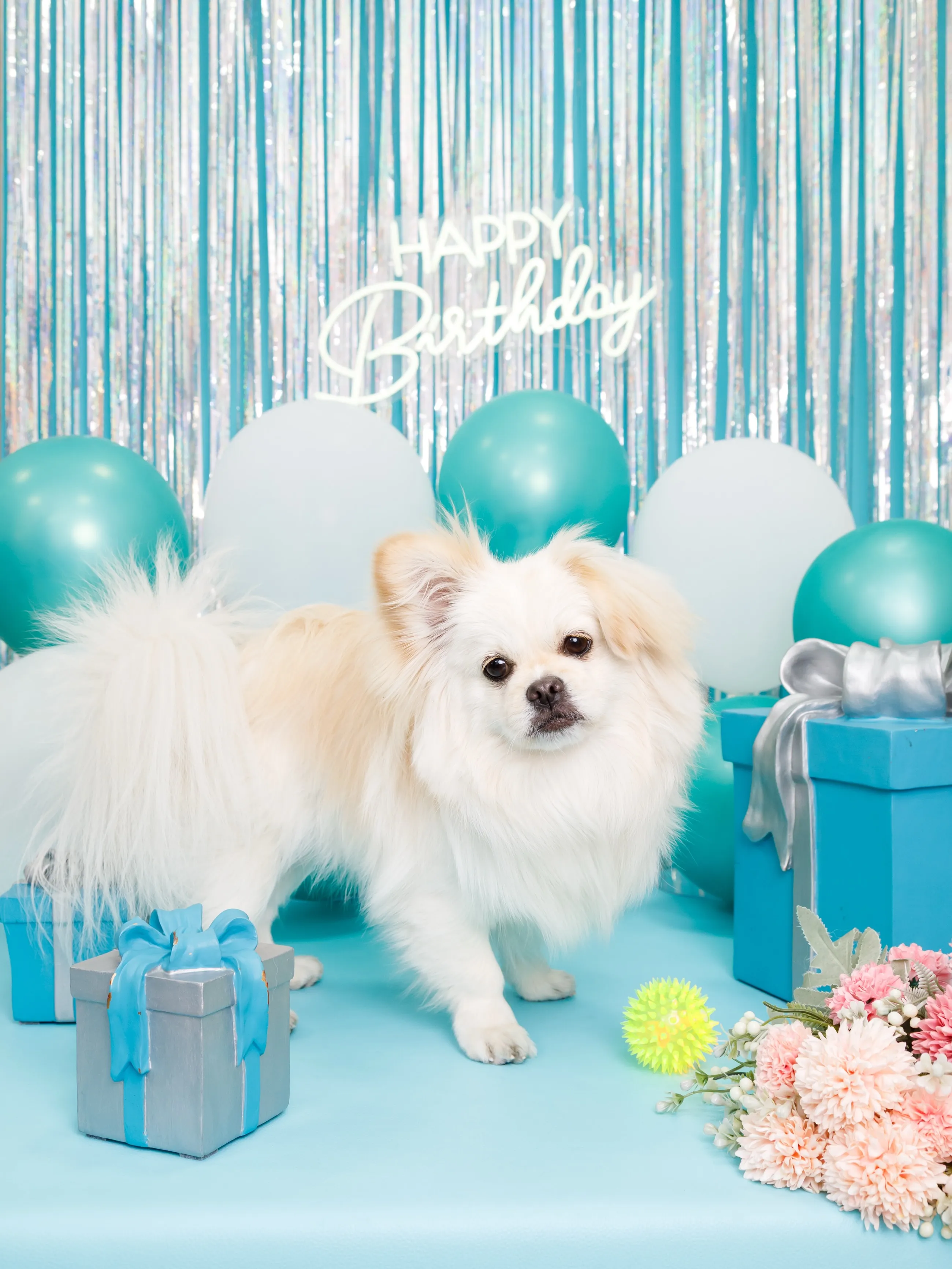【Birthday Photobooth🗽-水色-】