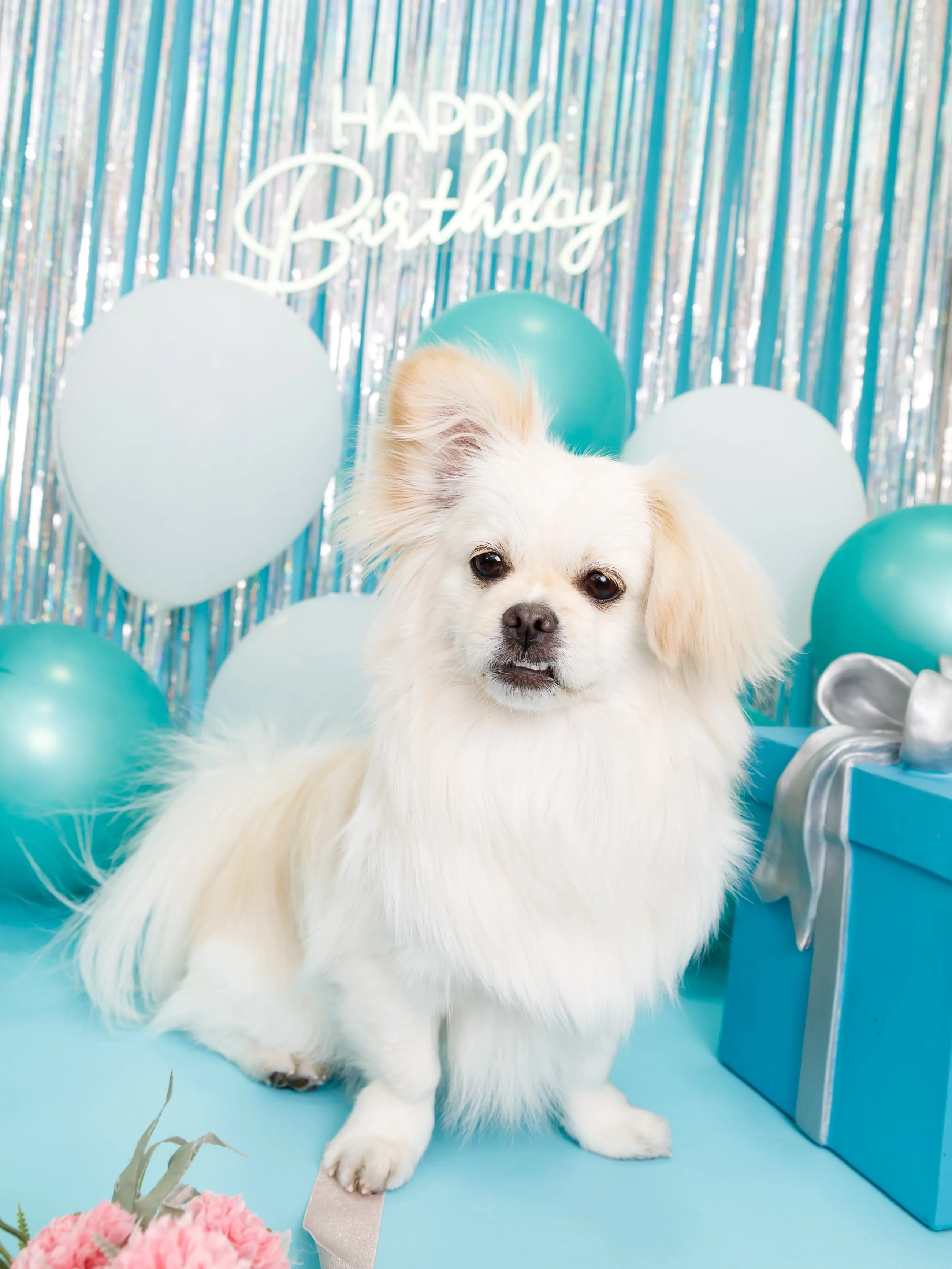 【Birthday Photobooth🗽-水色-】