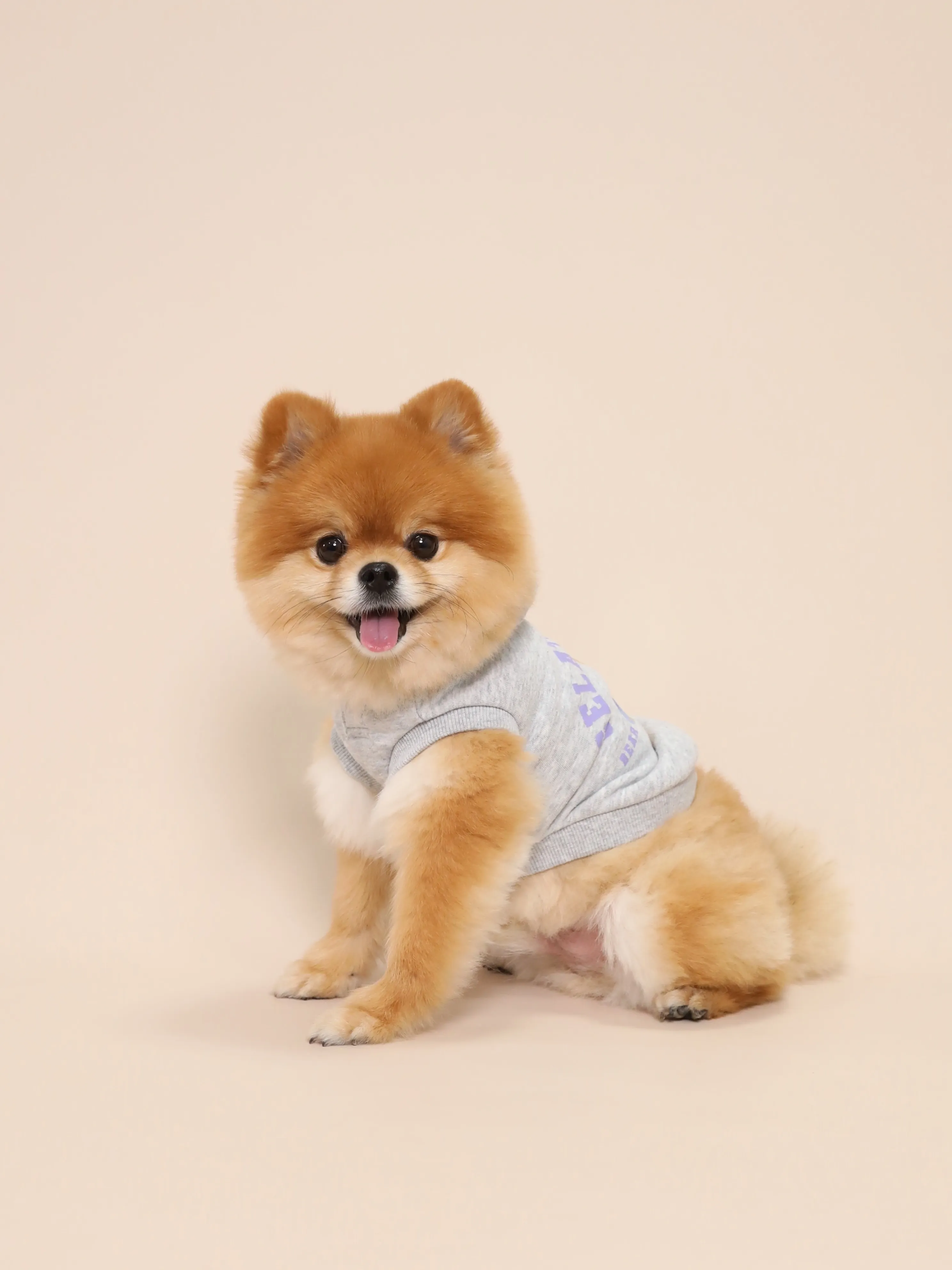 【BABY👶&1wan🐕アルファベットARTポスター/2L額...