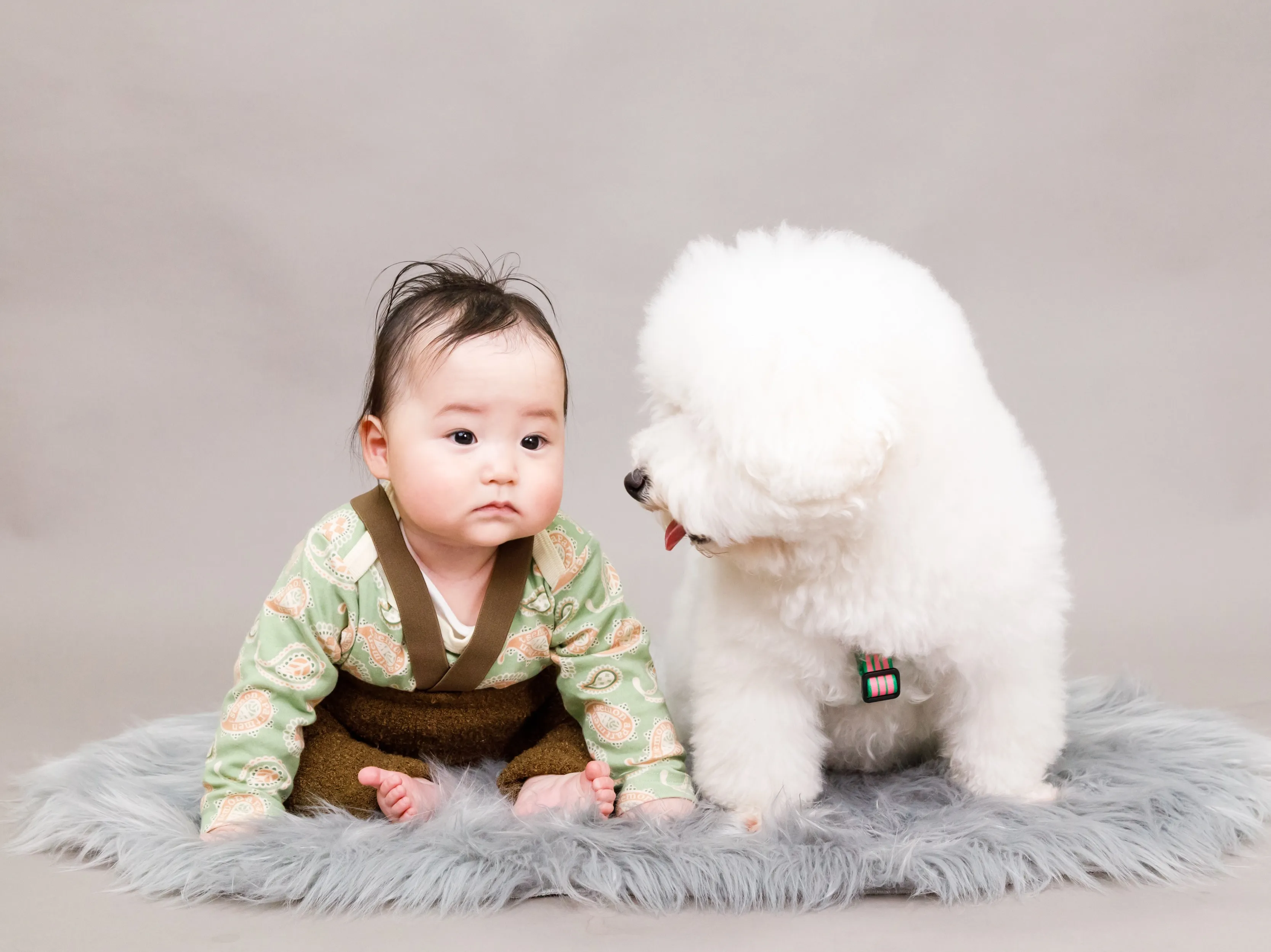 【FAMILY Photoshoot -GRAY-】