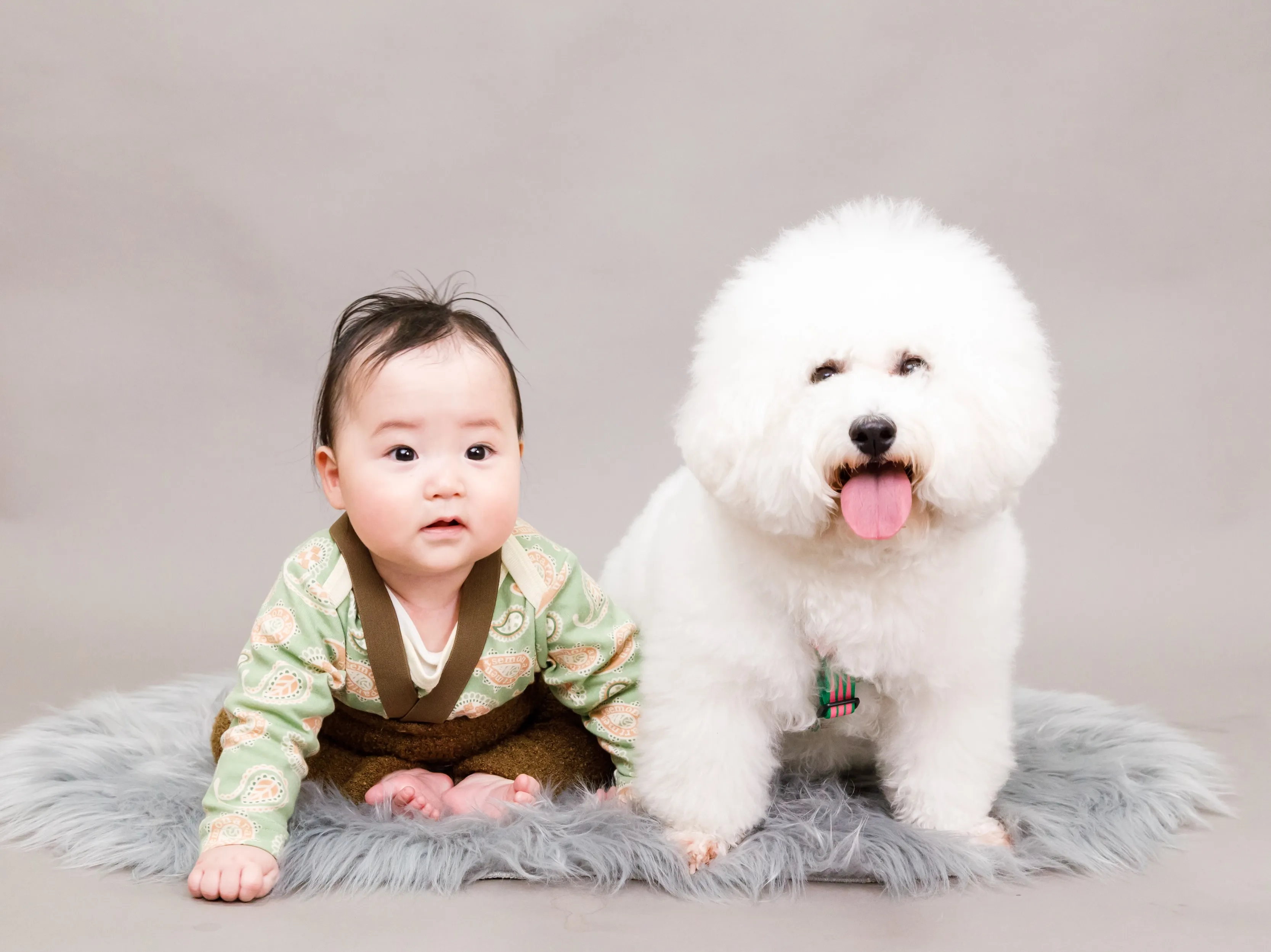 【FAMILY Photoshoot -GRAY-】
