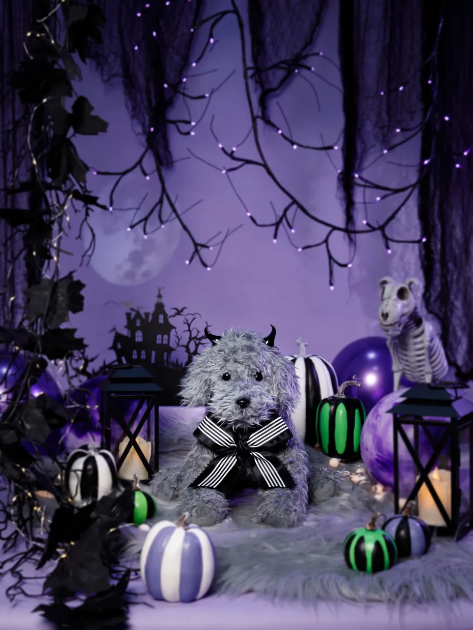 🎃 New ハロウィンブース 🎃