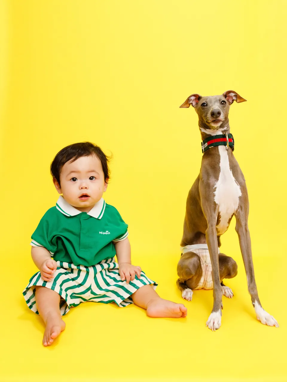 【FAMILY Photoshoot -YELLOW🌼-】