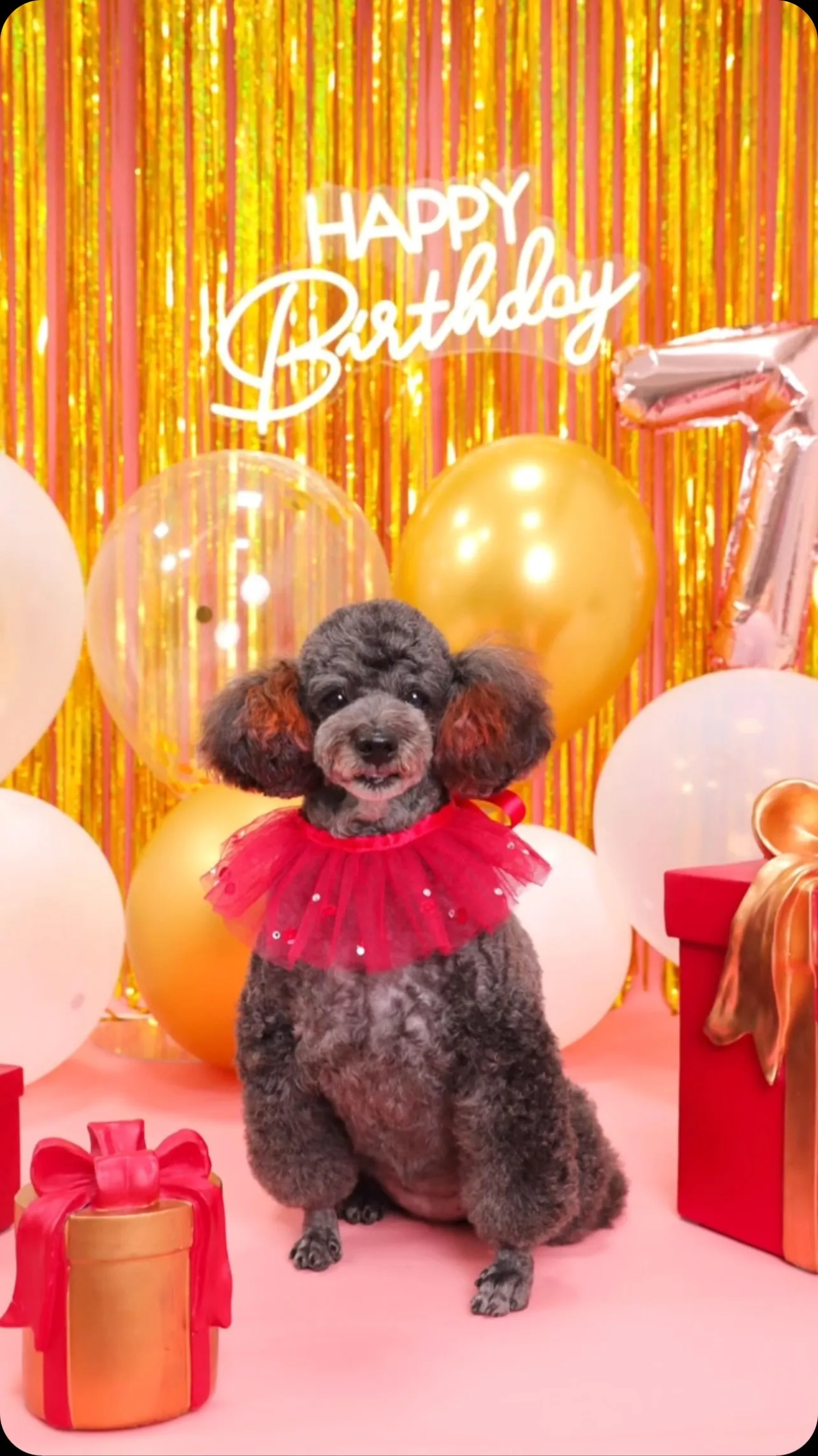 【Birthday🎉Photoshoot -ピンク-】