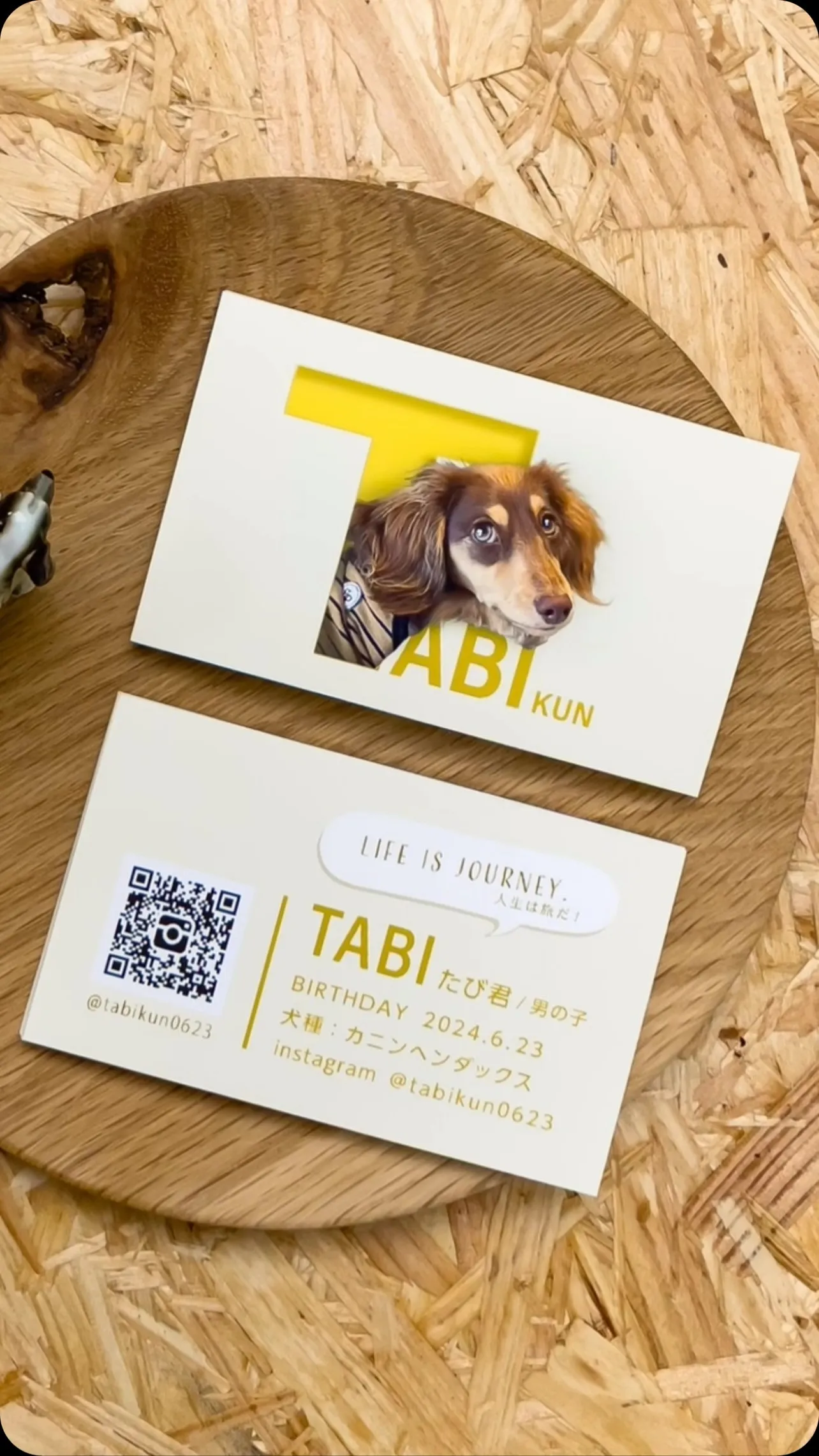 【うちの子名刺／アルファベットART／1頭デザイン】