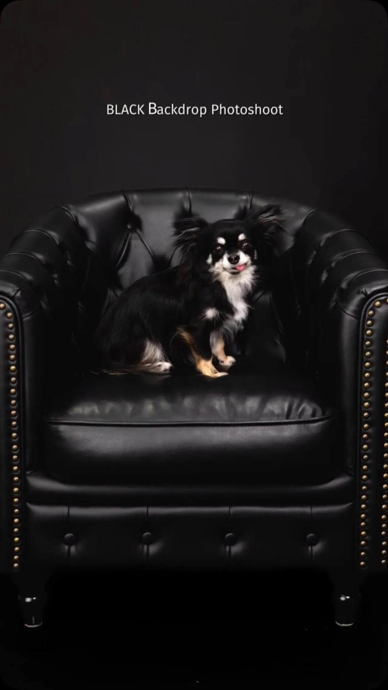 【BLACK-Sofa & Backdrop Photosh...