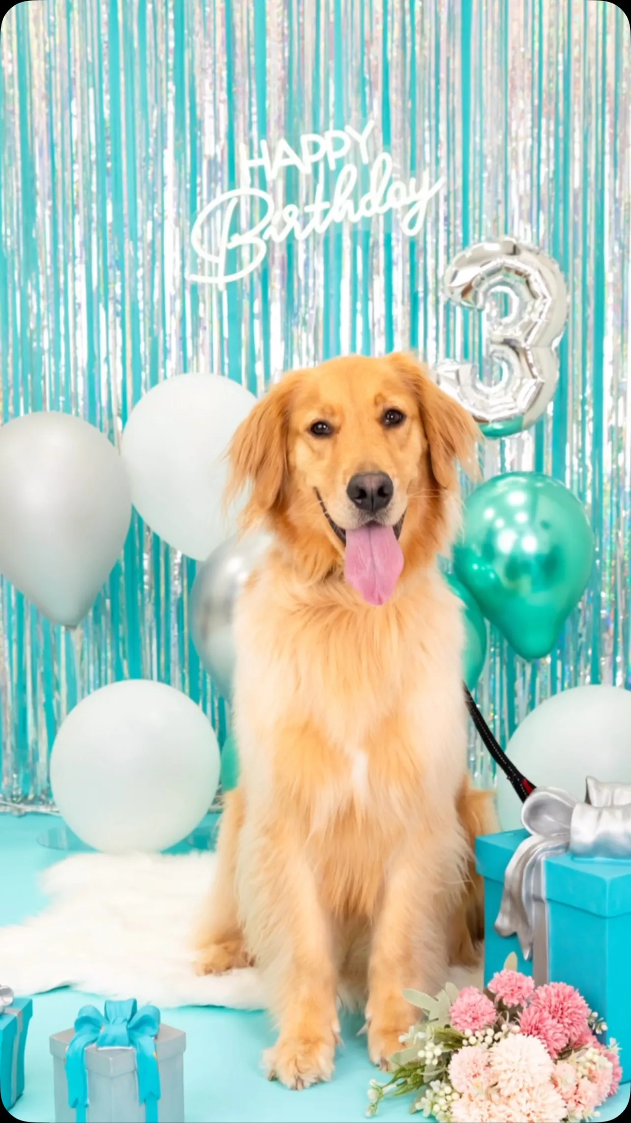 【Birthday🎉Photoshoot -水色🗽-】