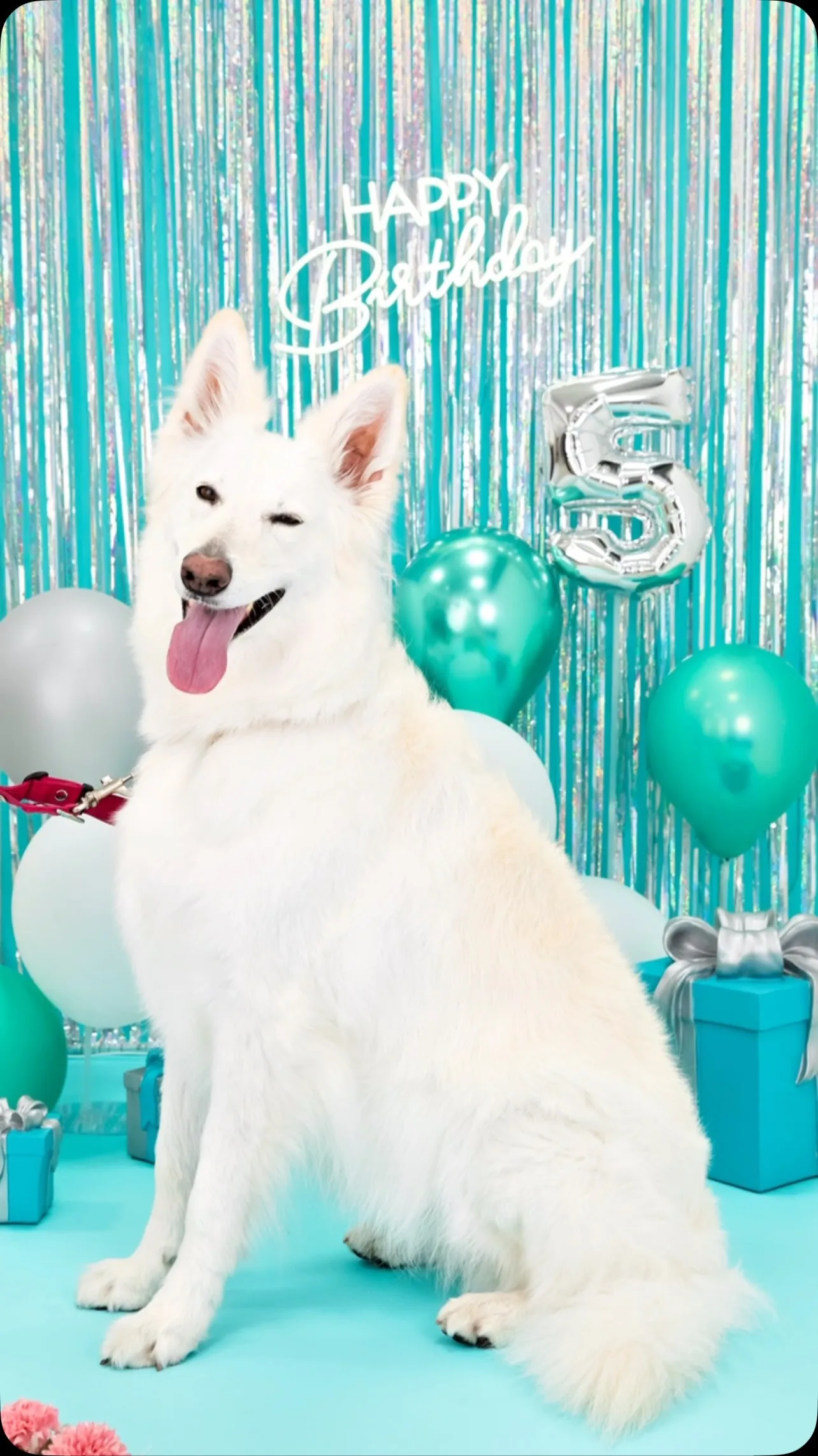 【Birthday🎉Photoshoot -水色🗽-】