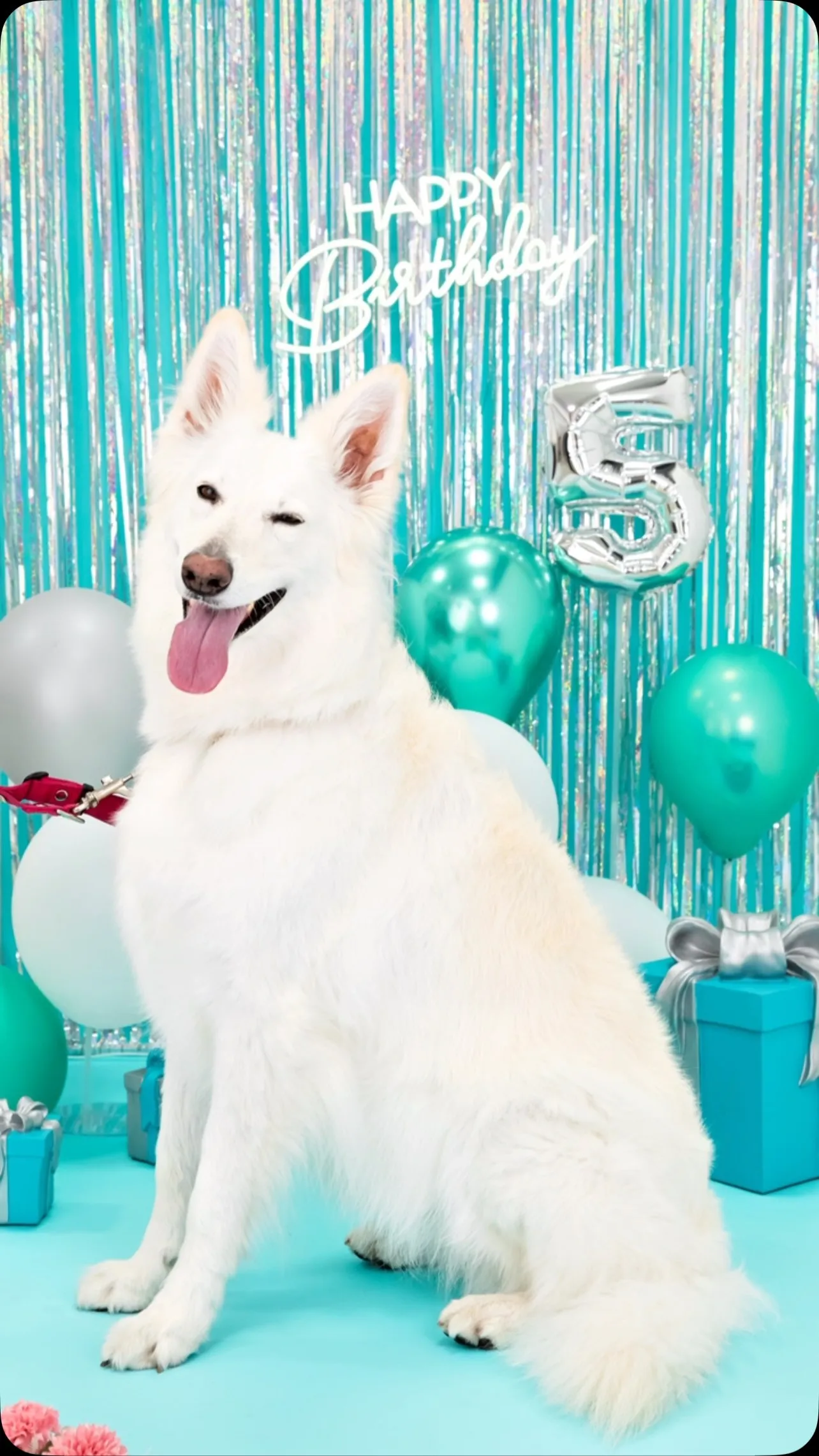 【Birthday🎉Photoshoot -水色🗽-】