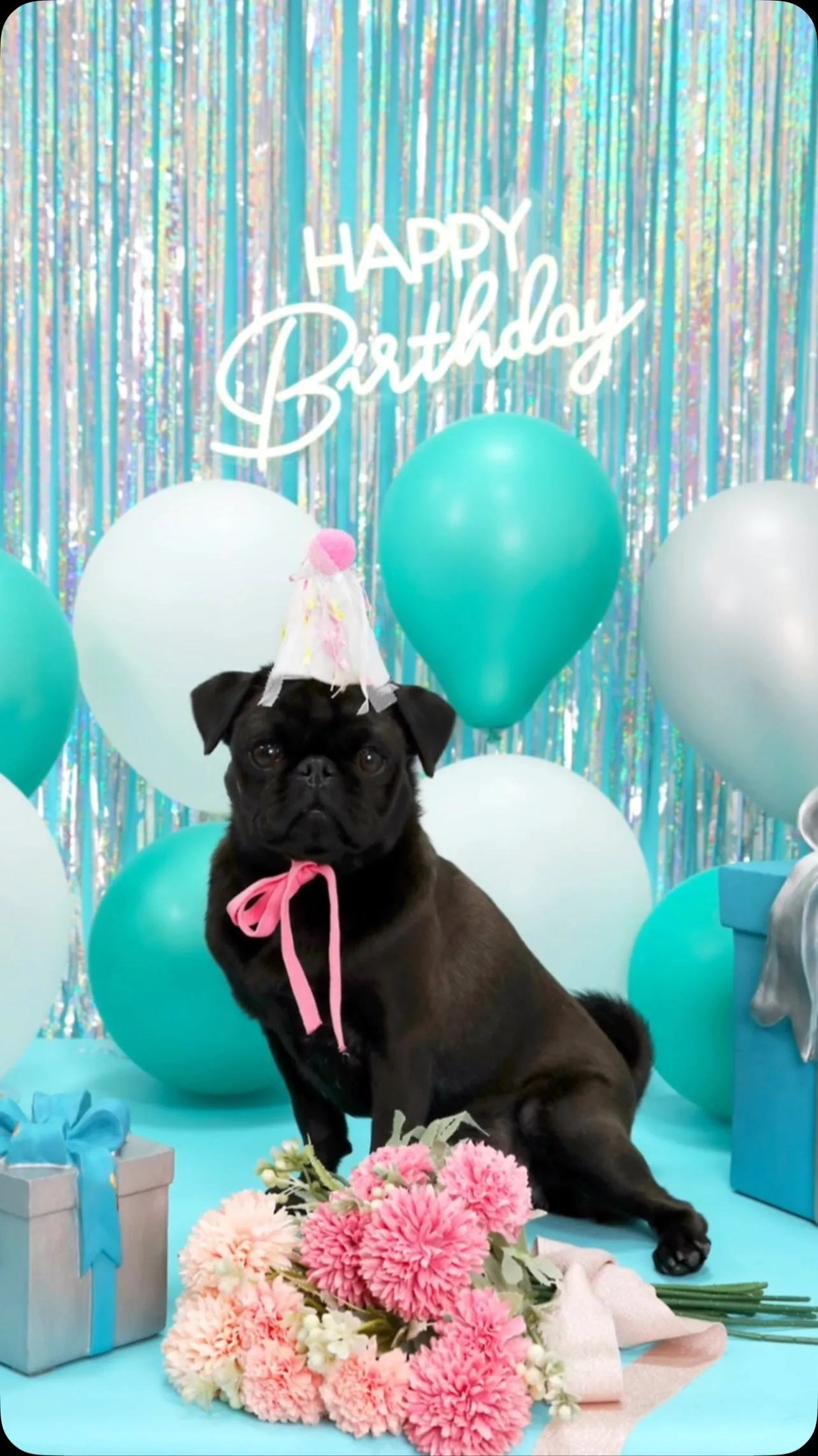 【Birthday🎉Photoshoot -水色🗽-】