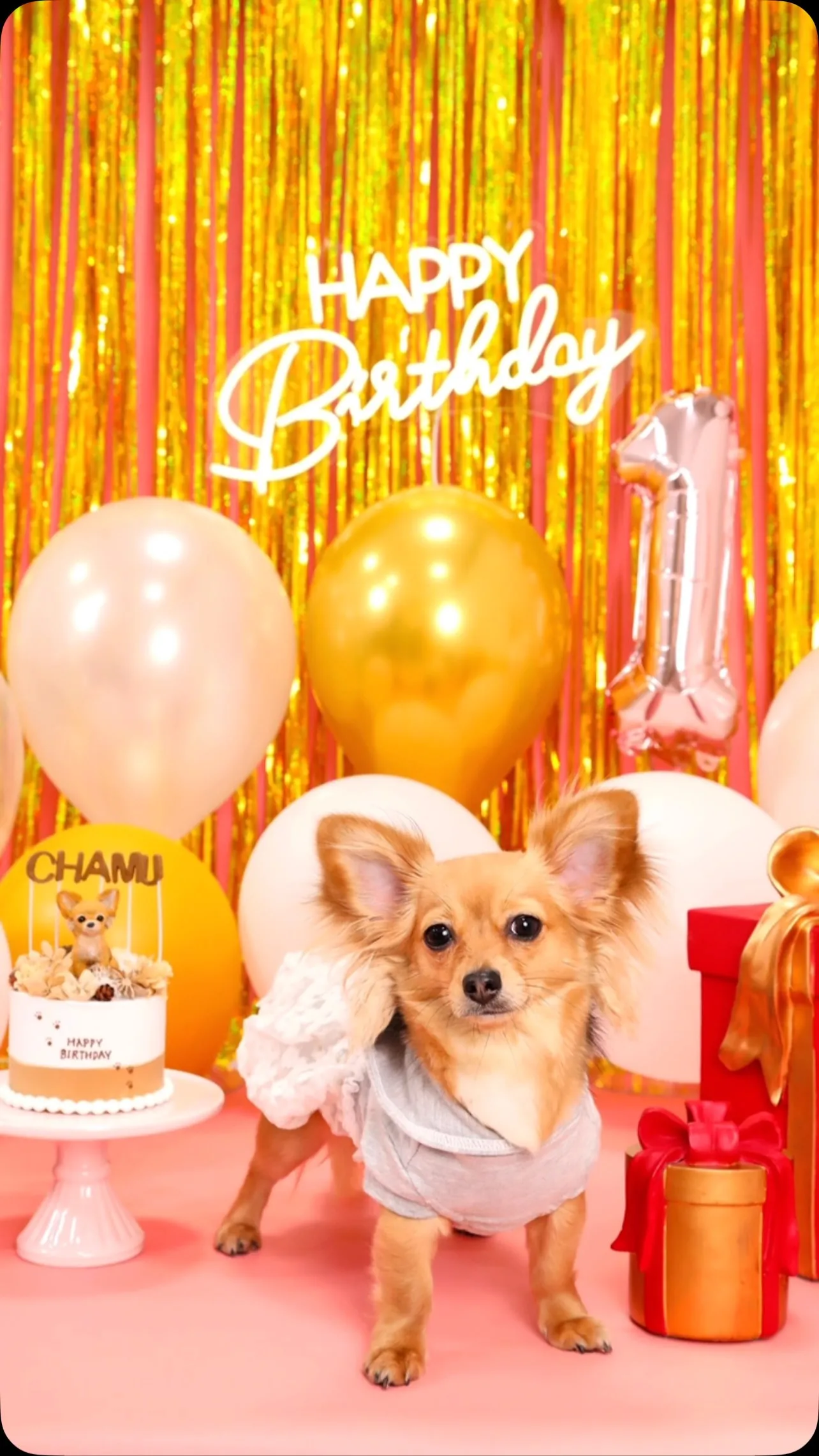 【Birthday🎉Photoshoot -ピンク-】