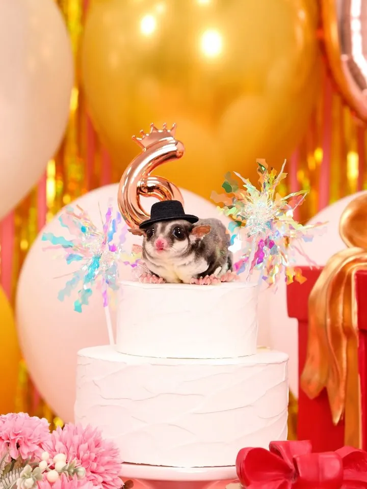 【Birthday🎉Photoshoot -ピンク-】