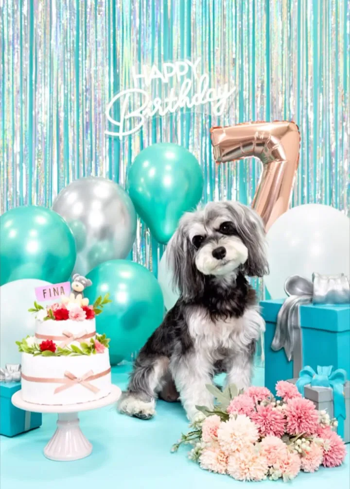 【Birthday Photobofth🗽-水色-】