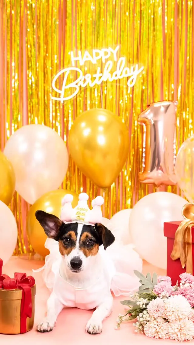 【1st Birthday🎉Photoshoot -ピンク-...