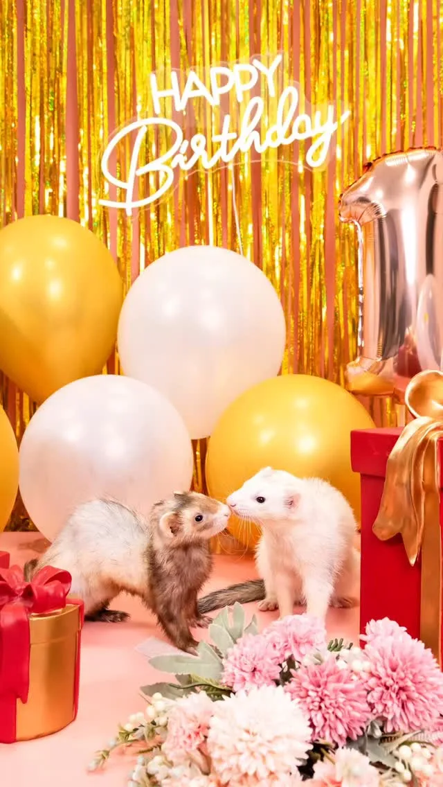 【1st Birthday🎉Photoshoot -ピンク-...