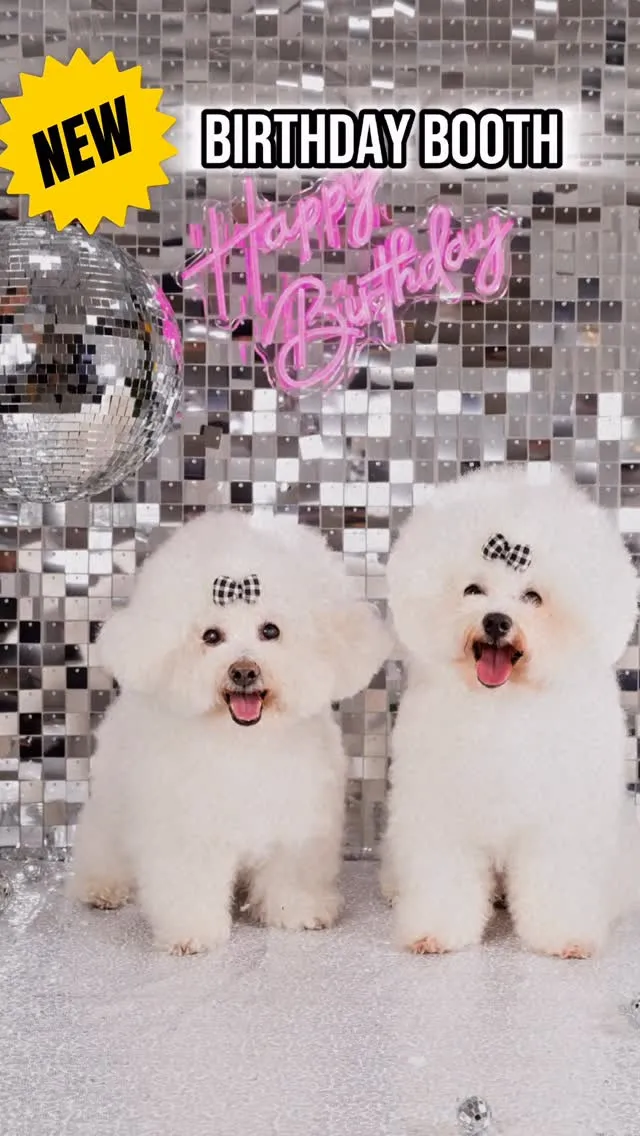 🕺NEWバースデー背景 〜 SILVER DISCO 〜🕺